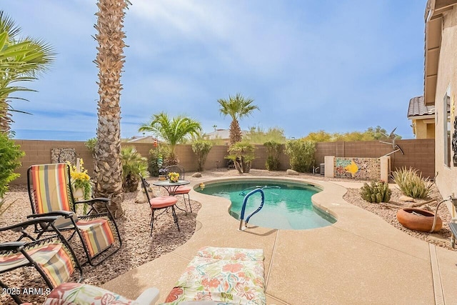 view of pool featuring a patio area, a fenced backyard, and a fenced in pool