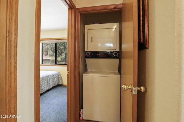 9434 W Obier Dr, Pine, AZ 85544 - washroom with stacked washer / dryer and carpet floors
