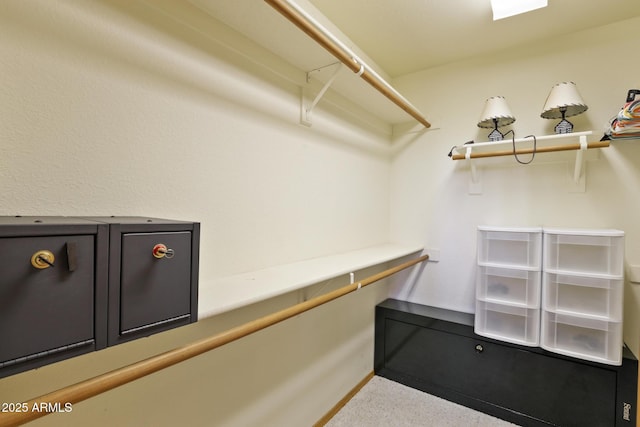 9434 W Obier Dr, Pine, AZ 85544 - view of spacious closet