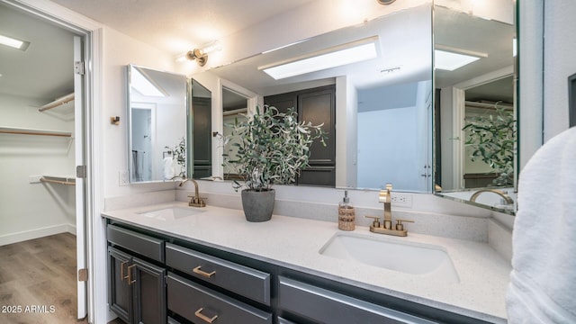 bathroom featuring wood-type flooring and vanity