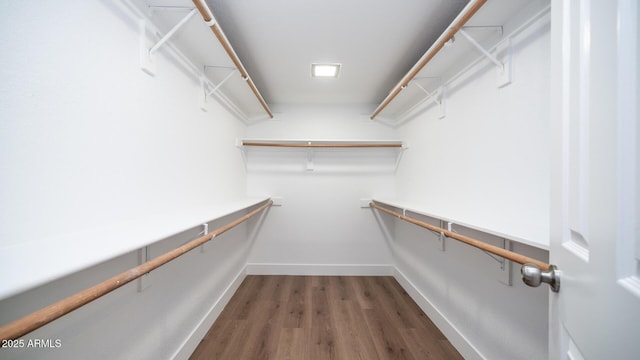 walk in closet with dark hardwood / wood-style floors