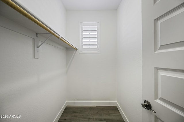 walk in closet featuring dark wood finished floors