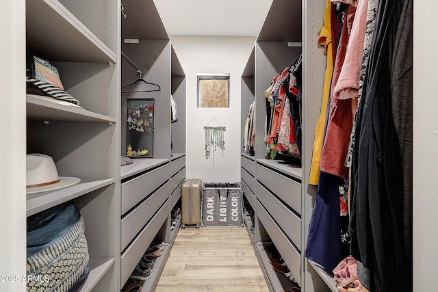 26112 N 7th Ave, Phoenix, AZ 85085 - spacious closet with light wood finished floors