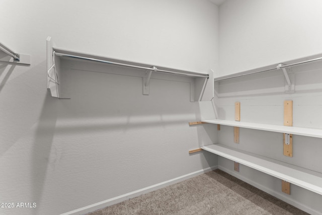 walk in closet featuring carpet flooring