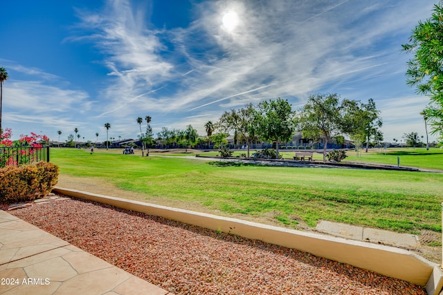 view of home's community with a lawn