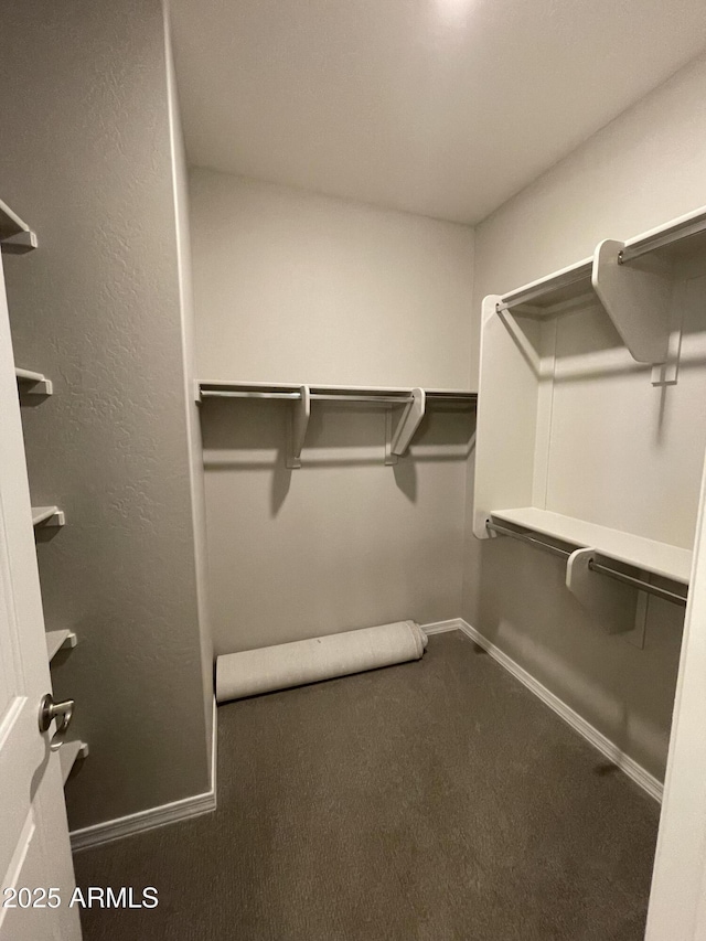24146 N 162nd Ln, Surprise, AZ 85387 - walk in closet with carpet