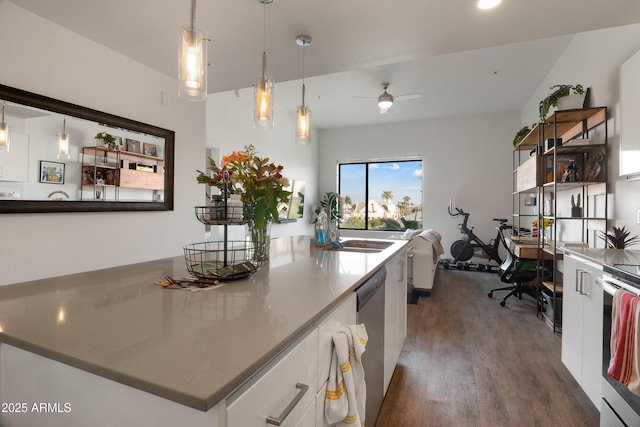 kitchen with appliances with stainless steel finishes, dark hardwood / wood-style floors, white cabinets, hanging light fixtures, and ceiling fan