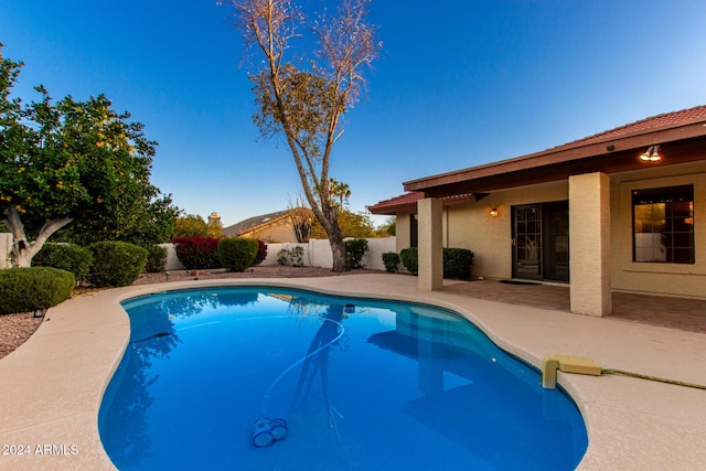 view of swimming pool featuring a patio