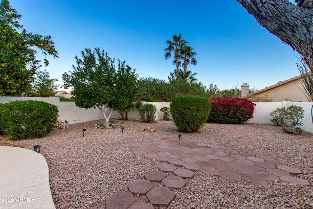 view of yard featuring a patio area