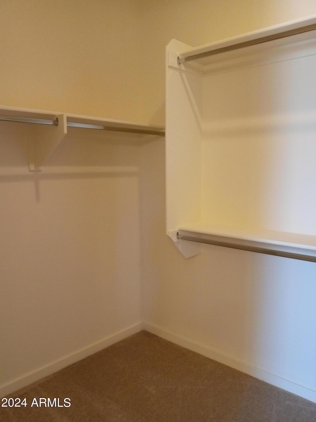 21042 E Camina Buena Vis, Queen Creek, AZ 85142 - walk in closet with carpet floors