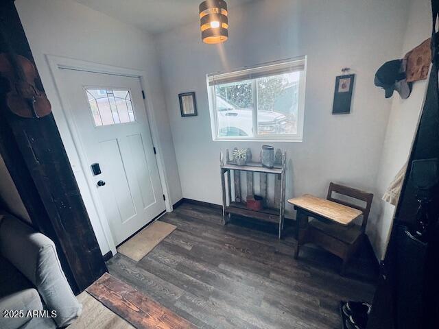 foyer entrance with dark hardwood / wood-style flooring