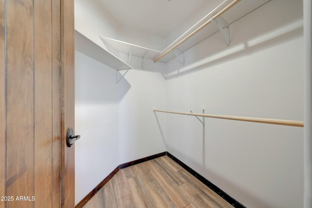 walk in closet featuring light wood-style floors
