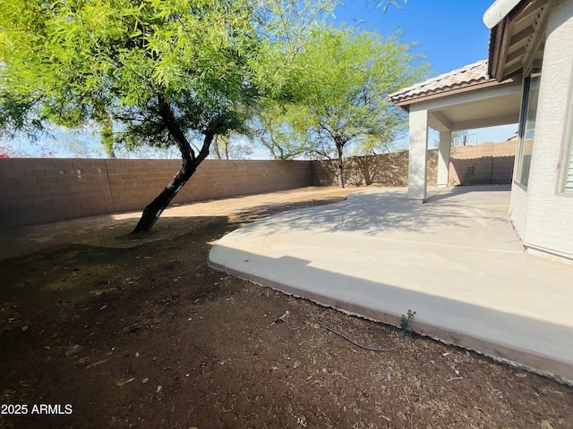 view of yard featuring a fenced backyard and a patio area