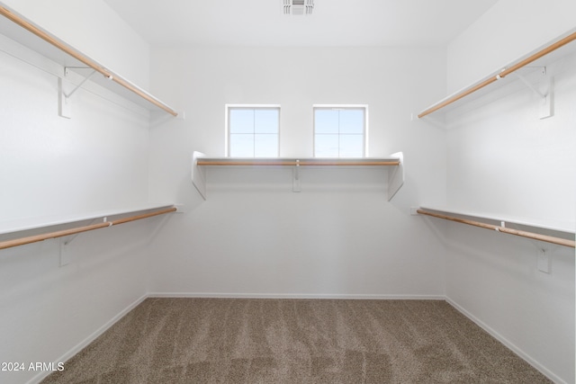 spacious closet featuring carpet