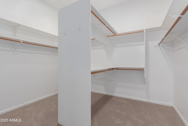 14056 E Desert Cove Ave, Scottsdale, AZ 85259 - walk in closet featuring carpet