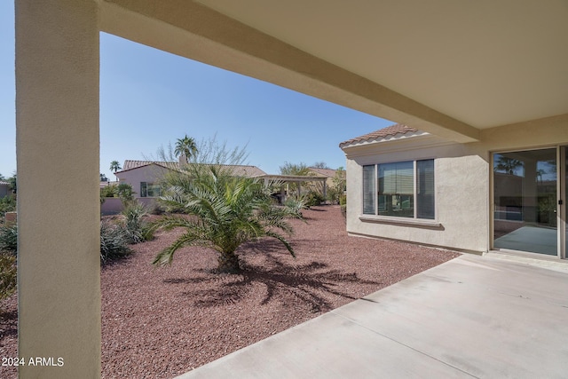 view of yard featuring a patio