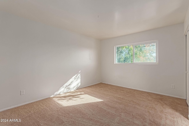 spare room featuring light carpet