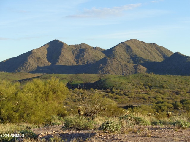 13871 N White Face Canyon Dr Unit 8, Fort Mcdowell, AZ 85264