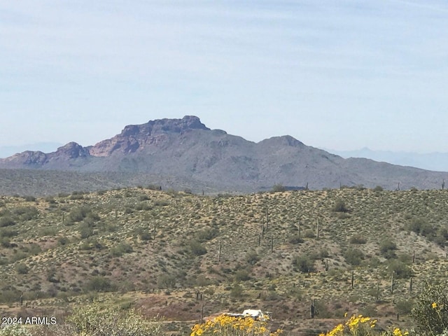13871 N White Face Canyon Dr Unit 8, Fort Mcdowell, AZ 85264