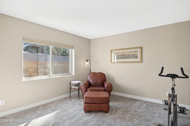 living area featuring light colored carpet