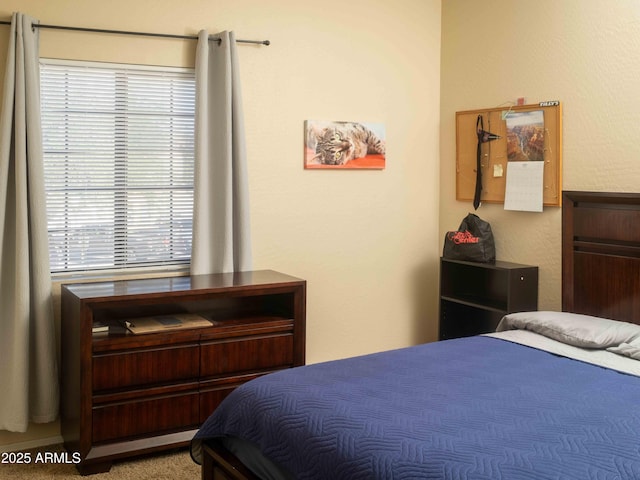 455 S Mesa Dr Unit 104, Mesa, AZ 85210 - bedroom featuring multiple windows