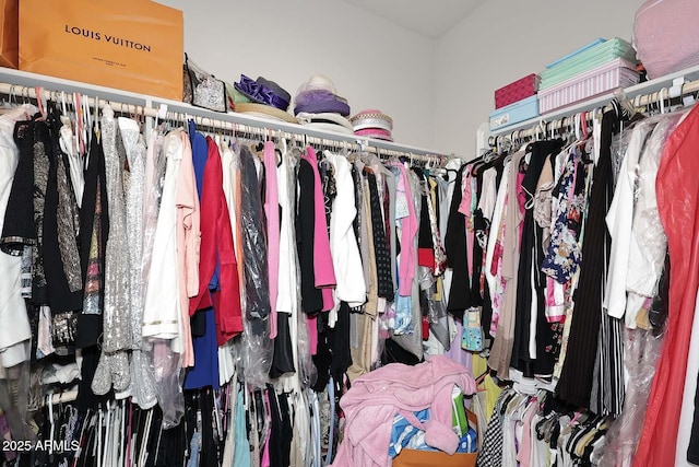16705 E Almont Dr Unit A, Fountain Hills, AZ 85268 - view of walk in closet
