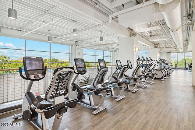 8474 W Clemente Way, Florence, AZ 85132 - exercise room featuring wood finished floors