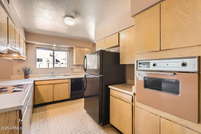 736 E Loyola Dr, Tempe, AZ 85282 - kitchen featuring black appliances, under cabinet range hood, light countertops, light brown cabinetry, and a textured ceiling