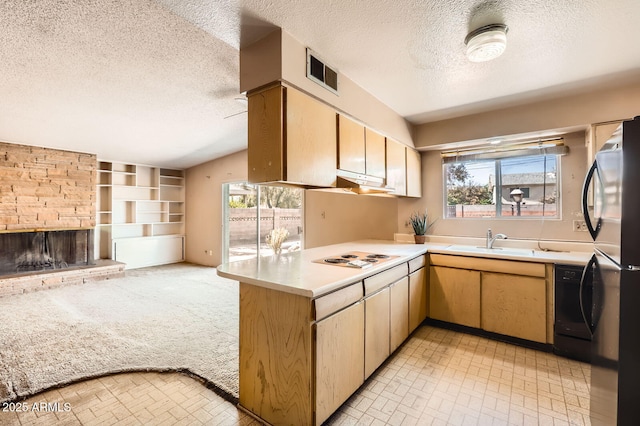 736 E Loyola Dr, Tempe, AZ 85282 - kitchen featuring a textured ceiling, white electric cooktop, healthy amount of natural light, light brown cabinetry, and light countertops