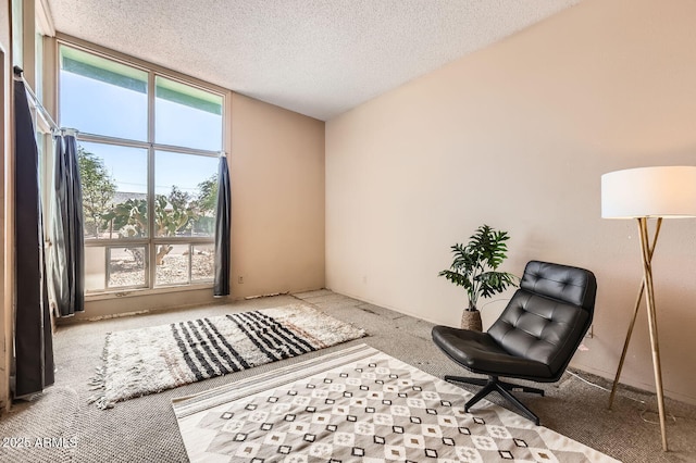736 E Loyola Dr, Tempe, AZ 85282 - sitting room with carpet and a textured ceiling