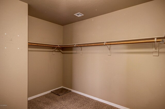 walk in closet featuring carpet flooring