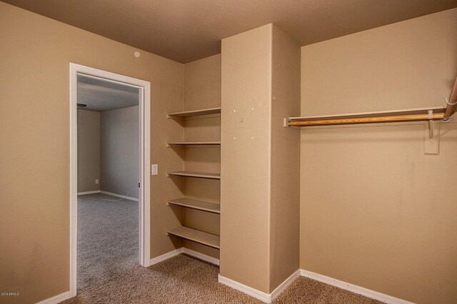 walk in closet with light colored carpet