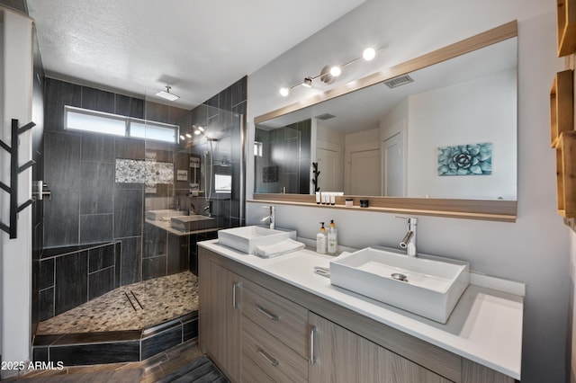 23211 N 22nd Pl, Phoenix, AZ 85024 - bathroom featuring double vanity, visible vents, a sink, and a walk in shower