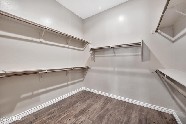 walk in closet with dark wood-style flooring