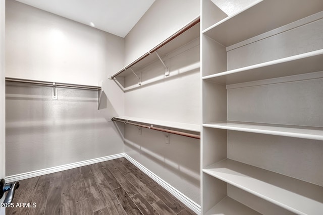 spacious closet featuring dark wood finished floors