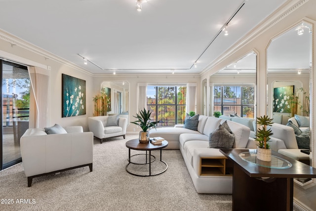 sunroom featuring plenty of natural light and rail lighting