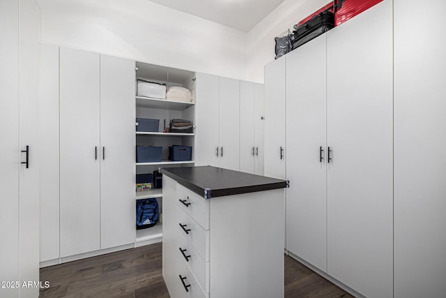 walk in closet with dark wood-style floors