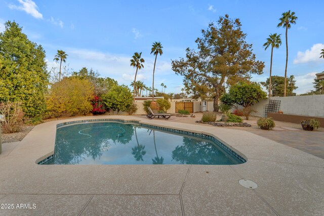 view of pool featuring a patio area