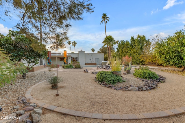 view of yard featuring a patio