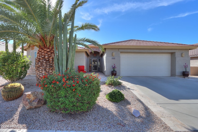 view of front of property with a garage