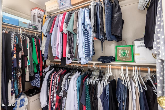 view of spacious closet