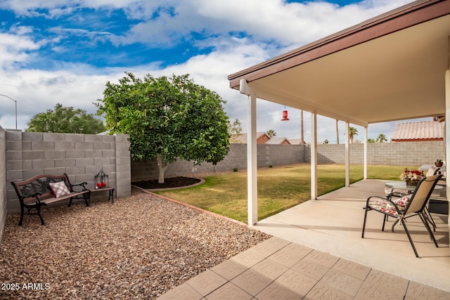 view of yard featuring a patio area