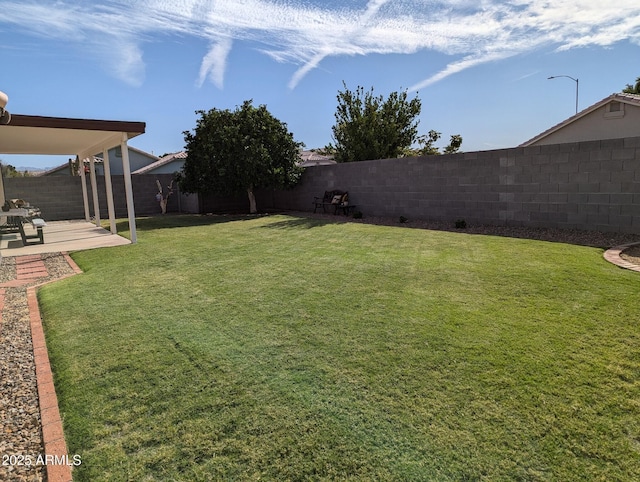 view of yard featuring a patio