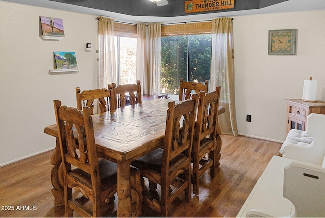 dining room featuring wood-type flooring