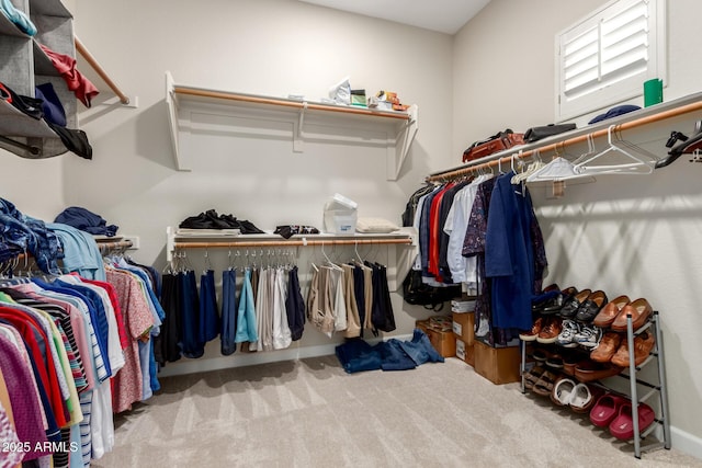 spacious closet with carpet
