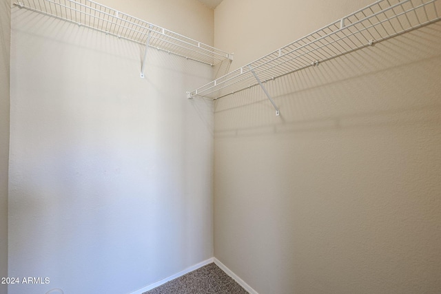 walk in closet with carpet flooring