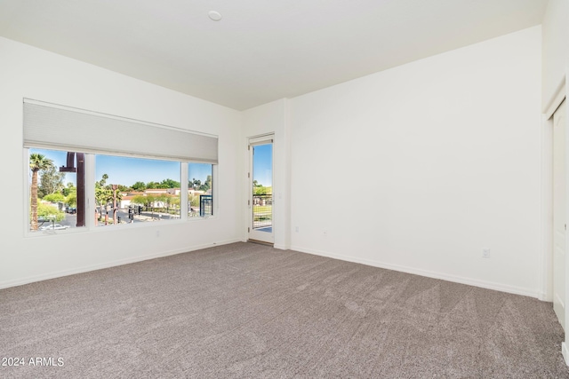 unfurnished room with a healthy amount of sunlight and carpet floors