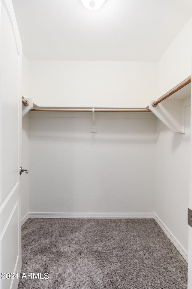 spacious closet with dark colored carpet