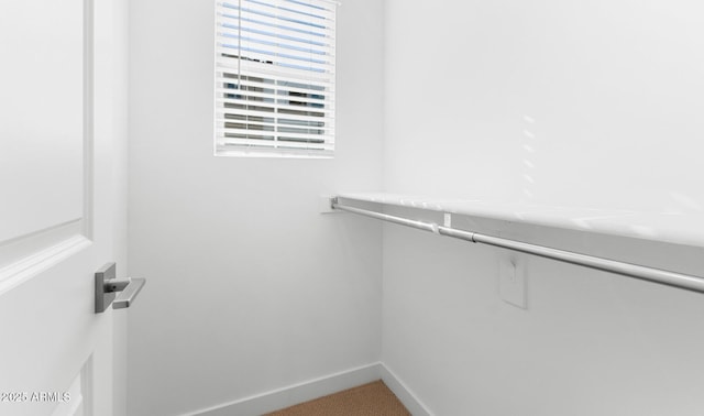 spacious closet featuring carpet floors