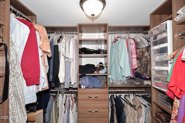 9235 N 101st St, Scottsdale, AZ 85258 - view of spacious closet